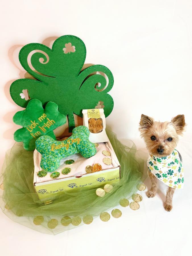 Pandemic Opened a New Career Path Westmont College